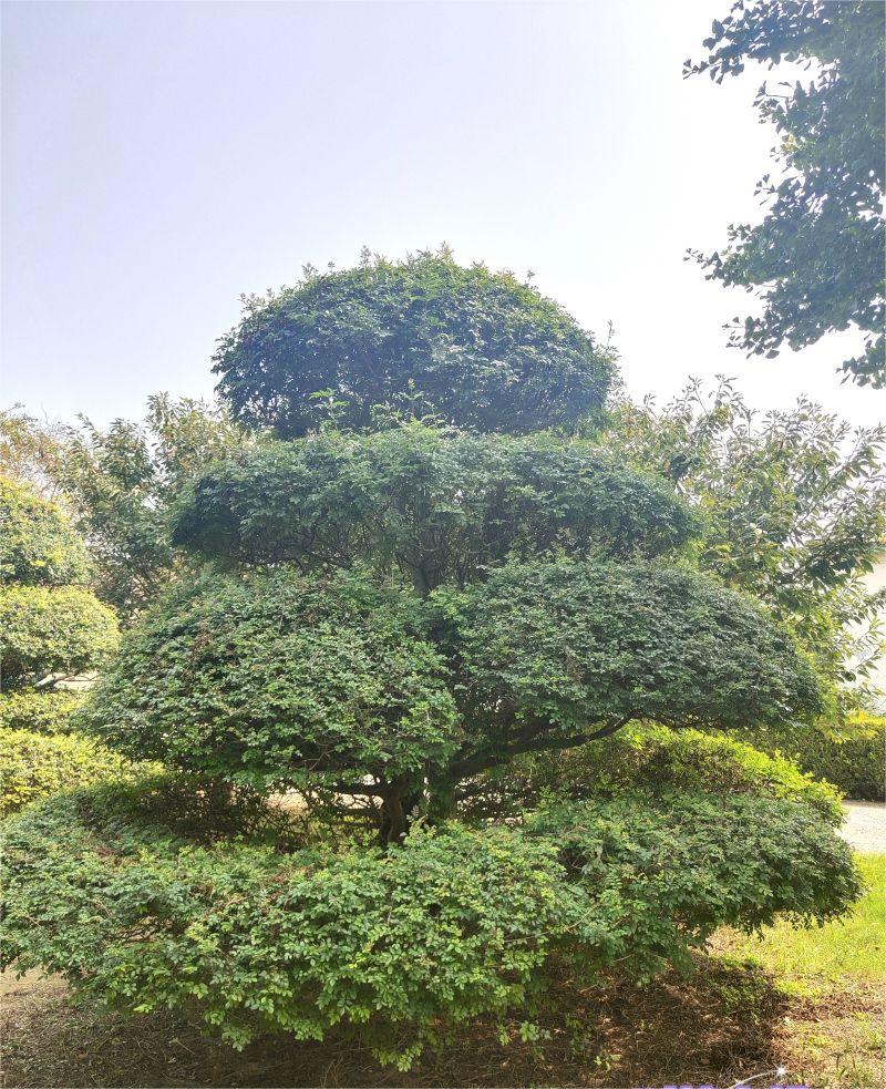 微信圖片_20240405222824.jpg